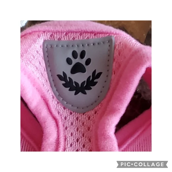 Pink Dog Halter M - Picture 3 of 7